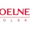 Koelner kołek montażowy 8x45 FX-08L045 (p=100szt) Koelner - obrazek 3