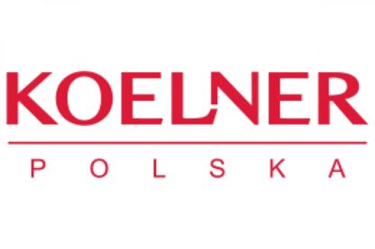 Koelner Kołek przedłużany KD 10x100 wkręt z łbem 6-ktn. (op=25szt) KD-10100 - obrazek 3